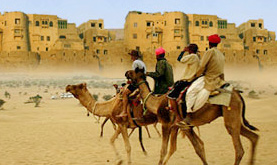 Camel Tour