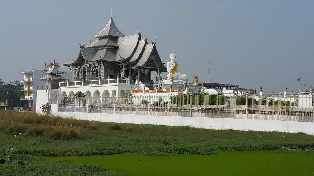 gaya