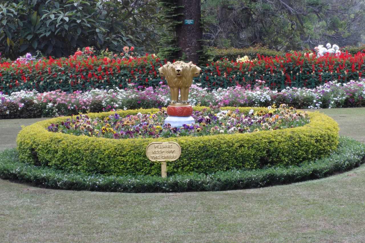 ooty