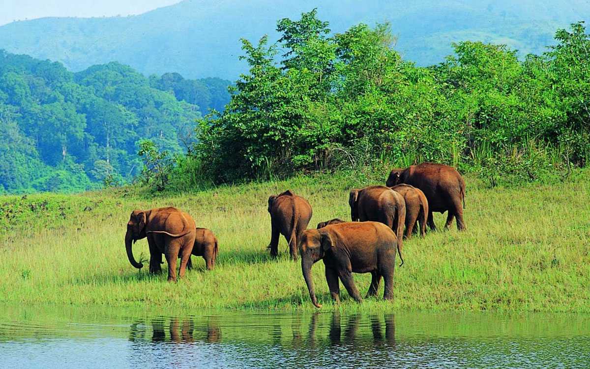 periyar