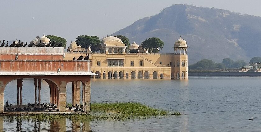 jaipur