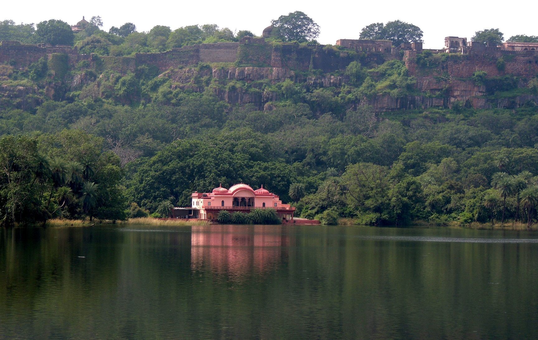 ranthambhore