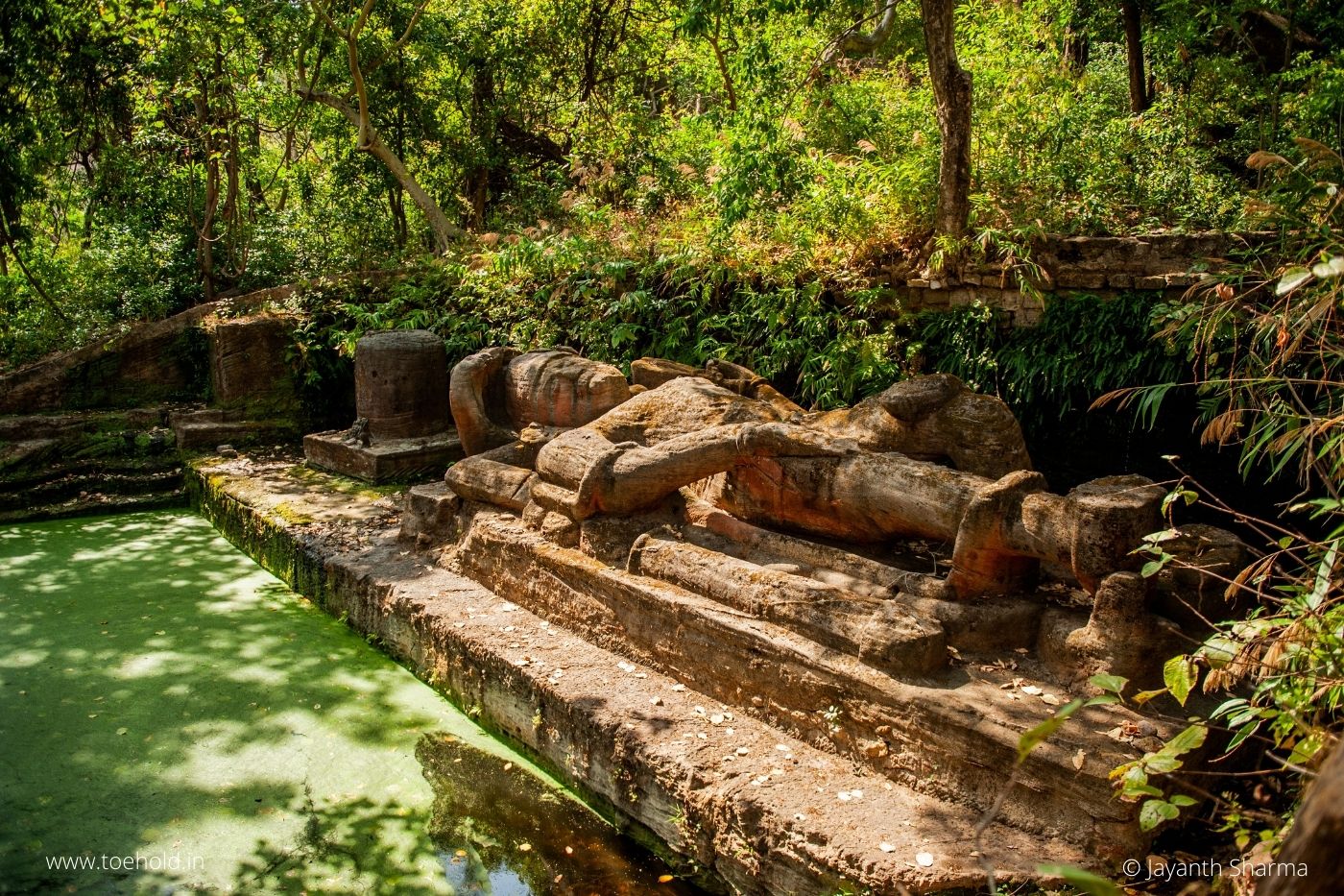 bandhavgarh