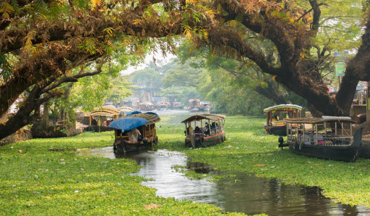 alleppey